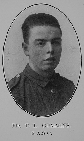 Cummins T L Pte Army Service Corps Wiliiam Graham Co Roll Of Honour