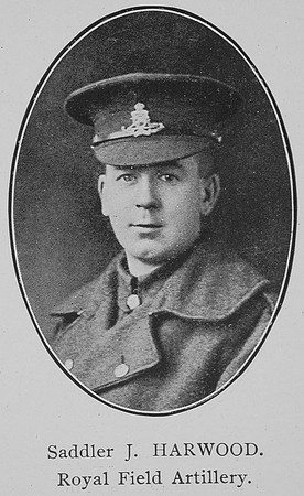 Harwood J Saddler Royal Field Artillery William Graham Company
