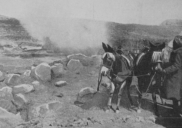 High Explosive Shell Bursting Shaking Up A Mule Transport