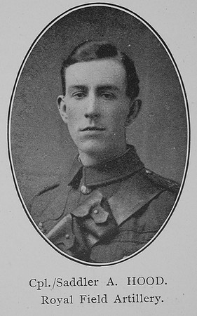 Hood A Saddler Royal Field Artillery William Graham Company
