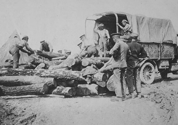 Unloading Timber To Use As Props On The Western Front