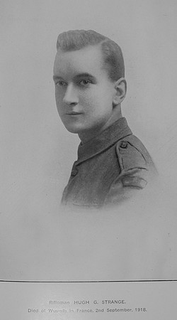 Strange H G Rfn 304680 5th London Regiment