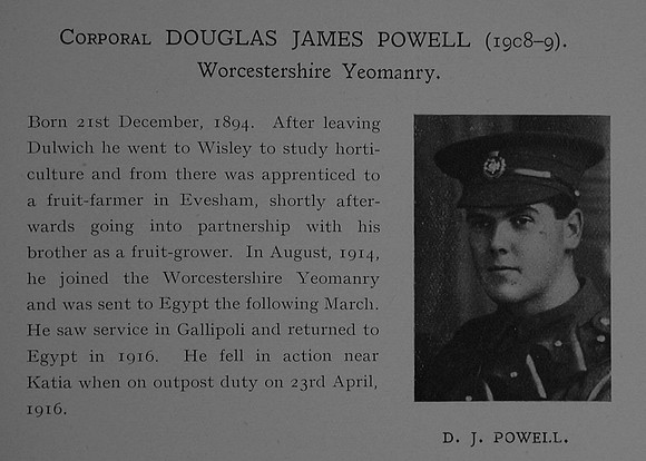 Powell D J Cpl 2318 Queen's Own Worcestershire Hussars (Worcester Yeomanry) Obit Dulwich College Roll Of Honour