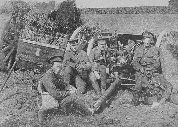 A British Field Gun Concealed From The Enemy