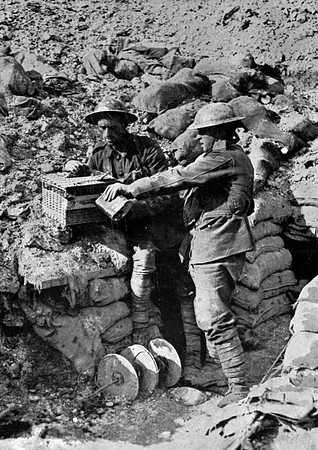 Canadian Pigeon Carriers Watering Their Birds On Hill 70
