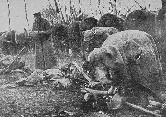 Cavalrymen Cleaning Equipment In Winter Conditions 1914