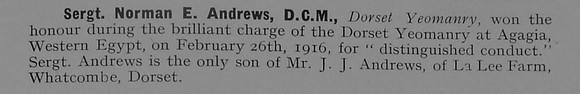 Andrews N E Sergt DCM Dorset Yeomanry 1