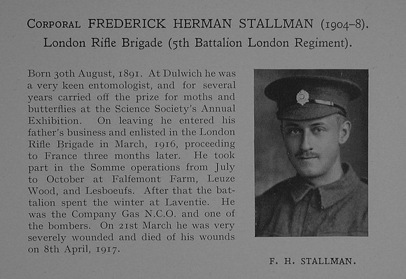 Stallman F H Cpl 302599 5th London Regiment (London Rifle Brigade) Obit Dulwich College Roll Of Honour