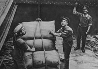 Men Of The York And Lancasters Regiment Transport Workers Battalion At The Royal Albert Docks London