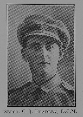 Bradley C J Sergt DCM Dorset Yeomanry