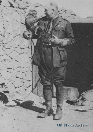 A Regimental Mascot In Egypt