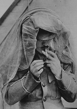 A British Soldiers Trying To Keep Of Flies In Gallipoli