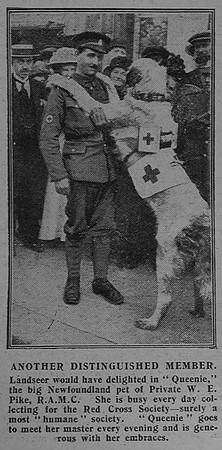 Pike W E Pte Royal Army Medical Corps The Graphic 10th July 1915