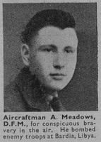 Meadows A Aircraftman DFM Royal Air Force