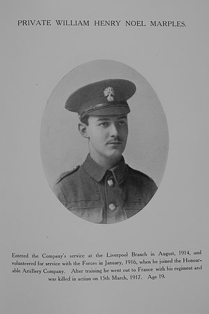 Marples W H N Pte 6878 2nd Honourable Artillery Company Northern Assurance Co War Record