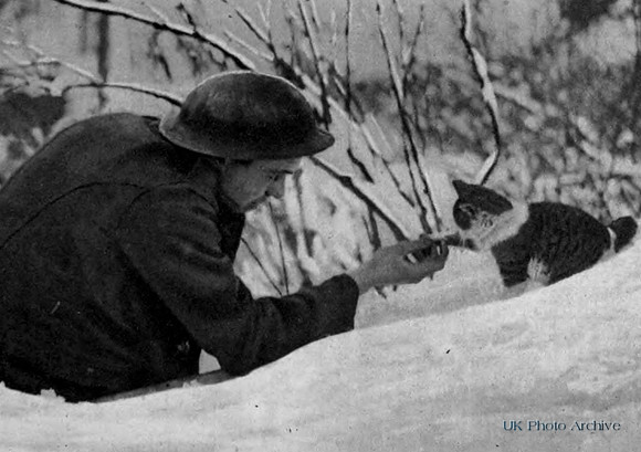 A Soldier Playing With A Kitten In The Snow