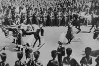 King Edward VII Charger And Dog Caesar In His Funeral Procession 1910