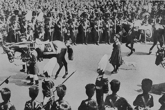 King Edward VII Charger And Dog Caesar In His Funeral Procession 1910