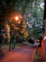 Festival Walk Carshalton 2010