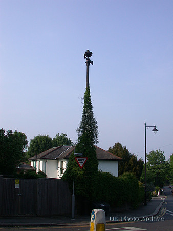 Clematis Climbing Up A Victorian Sewer Vent At The Corner Of Park Hill 2011