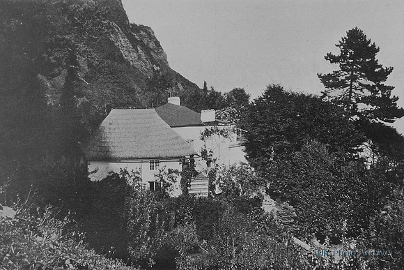 Labrador Teignmouth c.1900