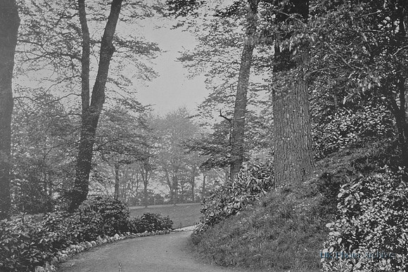 Northenhay Exeter c.1900
