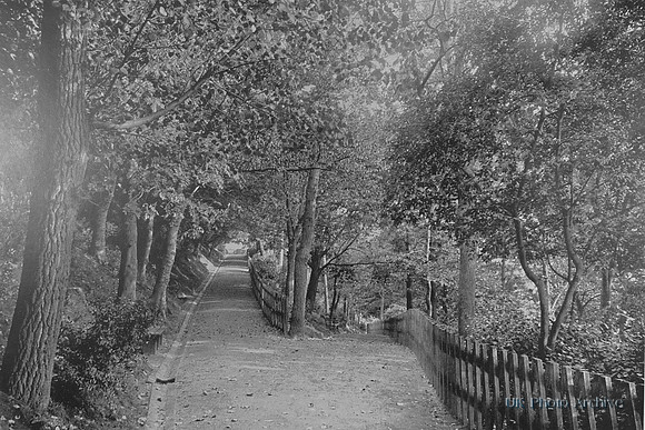 The Plantation Exmouth c.1900