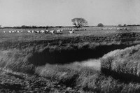 A Stretch Of Romney Marsh Near Old Romney Kent 1940s