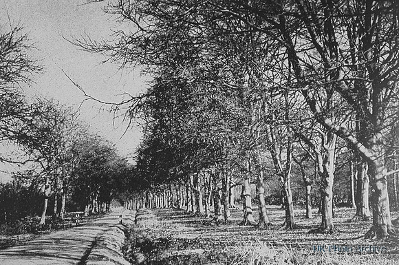 Near Wormley On The Woodland Way From Hatfield To Broxbourne Hertfordshire 1940s
