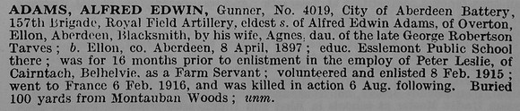 Adams A E Gnr 4019 Royal Field Artillery