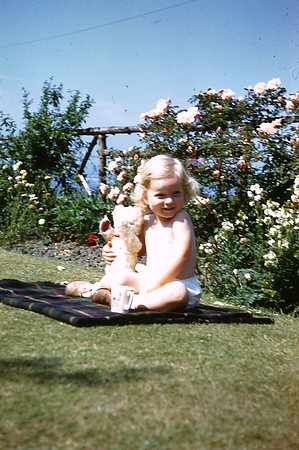 In The Garden 91 Nab Wood Drive Shipley Yorkshire 1960