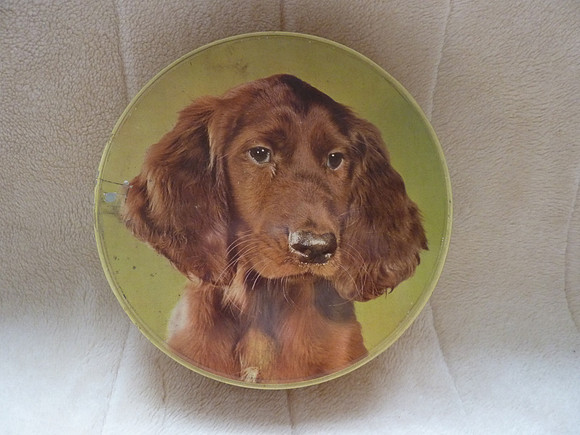 Vintage Irish/Red Sitter Biscuit Tin
