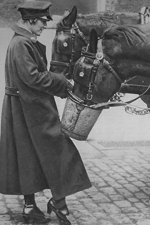 A Woman Mail Van Driver Watering Her Horse
