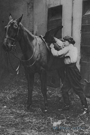 A Women Worker In Charge Of Army Horses