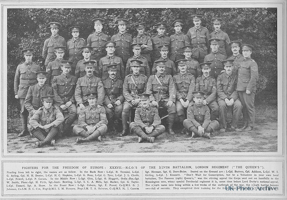 London Regiment 24th Battalion (The Queens) NCOs