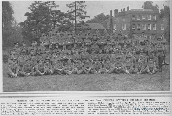 Middlesex Regiment 25th Battalion NCOs