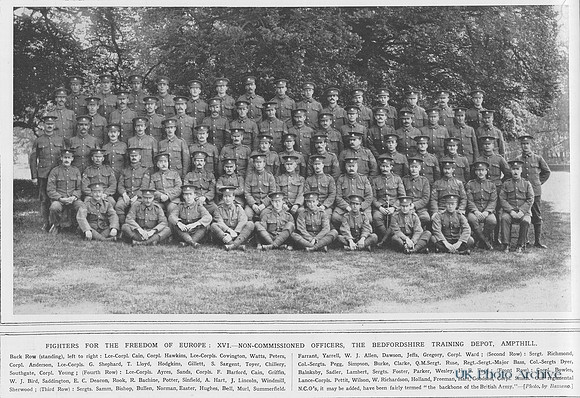 Bedfordshire Regiment Training Battalion NCOs