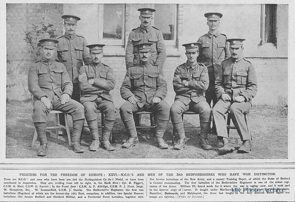 Bedfordshire Regiment 3rd Battalion NCOs Who Have Received Awards