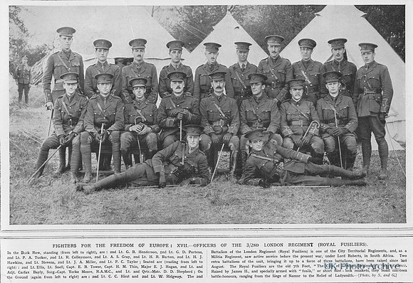 Royal Fusiliers 3/2nd Battalion Officers
