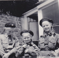 Brownies In The 1960s