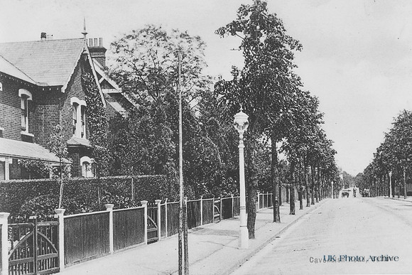 Cavendish Road Sutton c.1910 Photo No 1