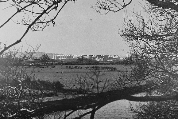 The Boots Factory At Beeston From Clifton Grove c.1950