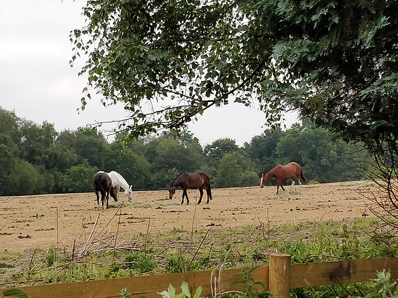 Ottershaw 12th July 2018