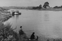 Fishing At The Trent At Stoke Bardolph Nottinghamshire c.1950