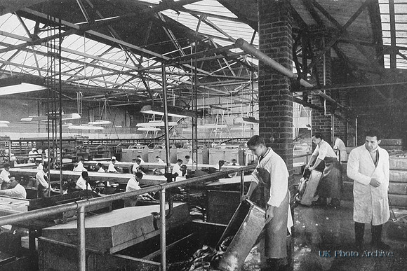 Preparing Quick Freeze Fish At Grimsby 1940s