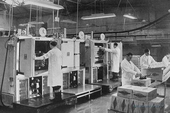Packing Quick Frozen Fish At Grimsby 1940s