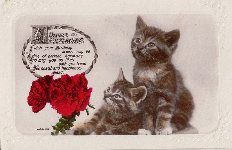 Birthday Postcard To Miss W Butt Front