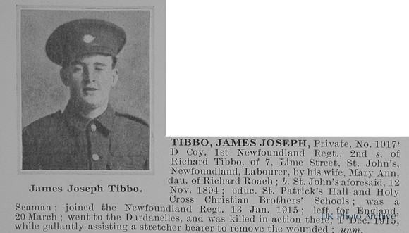 Tibbo J J Pte 1017 1st Newfoundland Regiment Obit