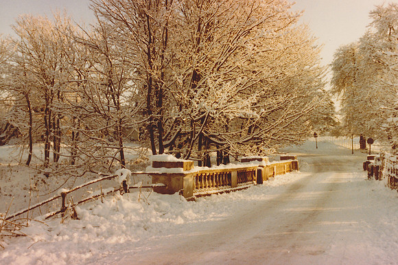 The Bridge Ashtead Park