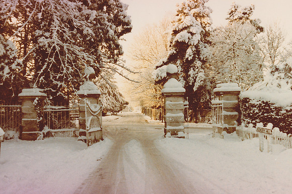 Ashtead Park Gates